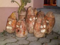 Trouliechter_2015_05