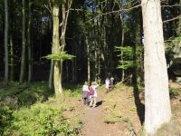 Ferschweiler-Plateau_040