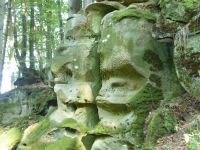 Ferschweiler-Plateau_050