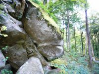 Ferschweiler-Plateau_055