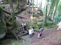 Ferschweiler-Plateau_060