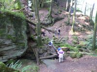 Ferschweiler-Plateau_070