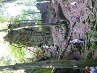 Ferschweiler-Plateau_080