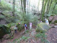 Ferschweiler-Plateau_110