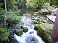 Ferschweiler-Plateau_145