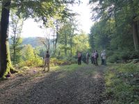 Ferschweiler-Plateau_160