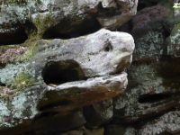 Ferschweiler-Plateau_170