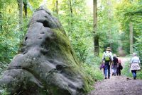 Ferschweiler-Plateau_175