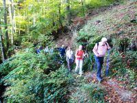 060_Himmerod-Eisenschmitt_2017.10.15