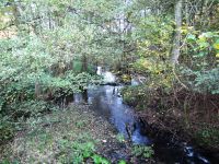 140_Himmerod-Eisenschmitt_2017.10.15