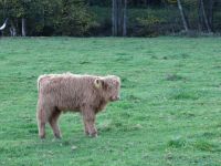 180_Himmerod-Eisenschmitt_2017.10.15