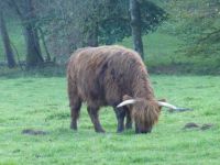 182_Himmerod-Eisenschmitt_2017.10.15