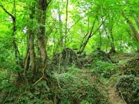 Irrel-Menningen_1461