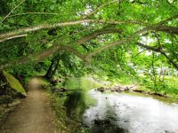 Irrel-Menningen_1468