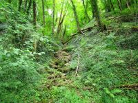 Irrel-Menningen_1470