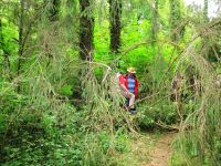 Irrel-Menningen_1475