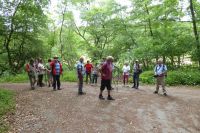 Irrel-Menningen_1500