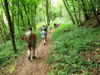 Irrel-Menningen_1543