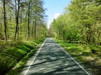 Staedtefahrt_2017.04.30.CIMG0125