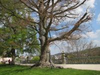 Staedtefahrt_2017.04.30.IMG_1044