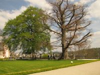 Staedtefahrt_2017.04.30.IMG_1059