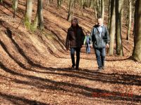 Waxweiler_2017.03.26.070