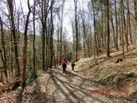 Waxweiler_2017.03.26.080