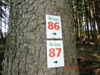 Waxweiler_2017.03.26.100