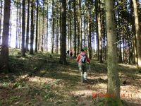 Waxweiler_2017.03.26.110