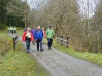 Narzissenwanderung_03