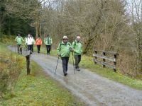 Narzissenwanderung_04