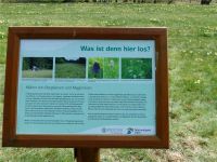 Narzissenwanderung_13