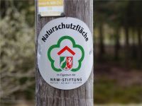 Narzissenwanderung_15