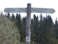 Narzissenwanderung_16