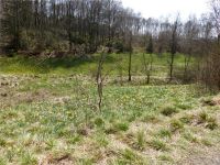 Narzissenwanderung_19