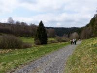 Narzissenwanderung_22