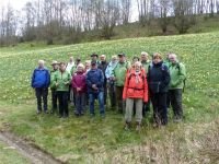 Narzissenwanderung_24