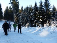 Winterwald_02
