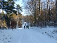 Winterwald_03