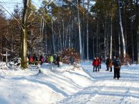 Winterwald_05