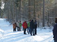 Winterwald_10