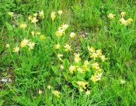 IMG-20190502-WA0011b