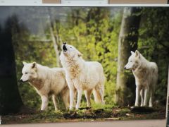 IMG_20251009_122041_edit_288203245728938