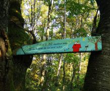 IMG_20251011_102555_edit_347508482531868